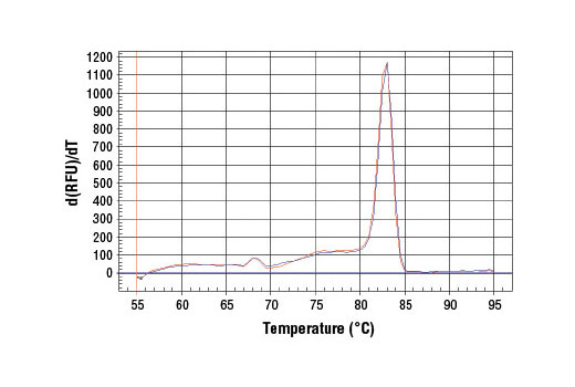 SimpleChIP® Human StAR Intron 1 Primers - 500 ul