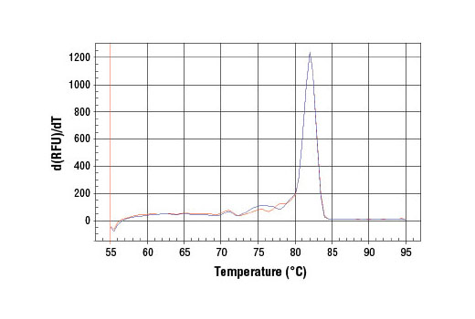 SimpleChIP® Mouse MEST Intron 1 Primers - 500 ul