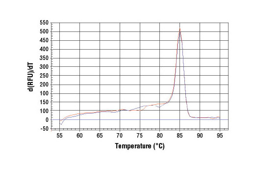 SimpleChIP® Mouse ATF-3 Intron 1 Primers - 500 ul