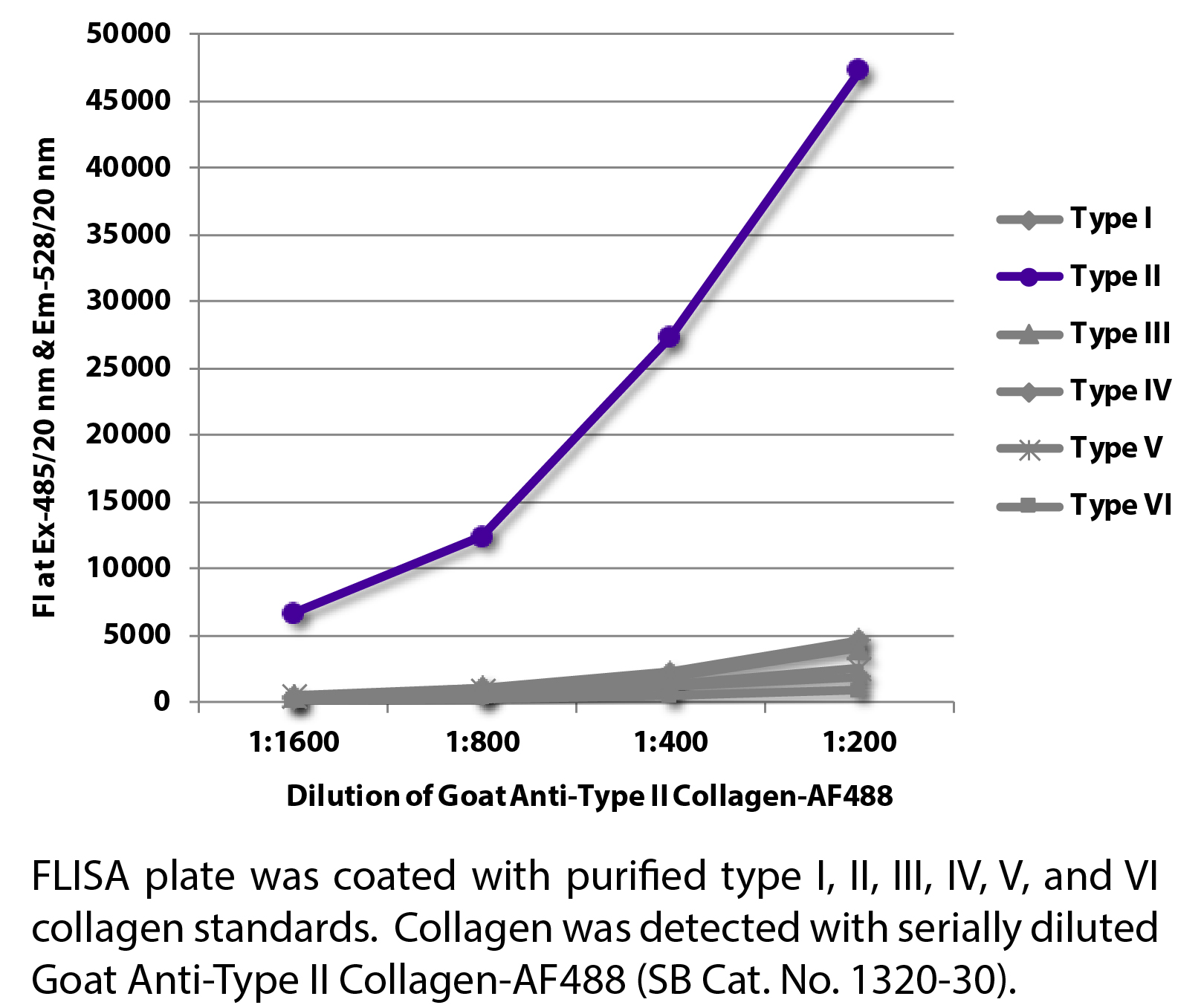 Goat Anti-Type II Collagen-AF488 - 0.2 mg