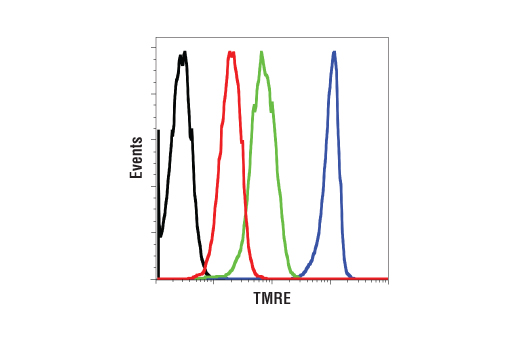 Mitochondrial Membrane Potential Assay Kit (II) - 1 Kit