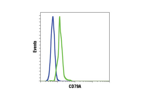 B Cell Signaling Antibody Sampler Kit II - 1 Kit