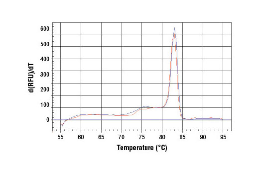 SimpleChIP® Human NR1D1 Promoter Primers - 500 ul