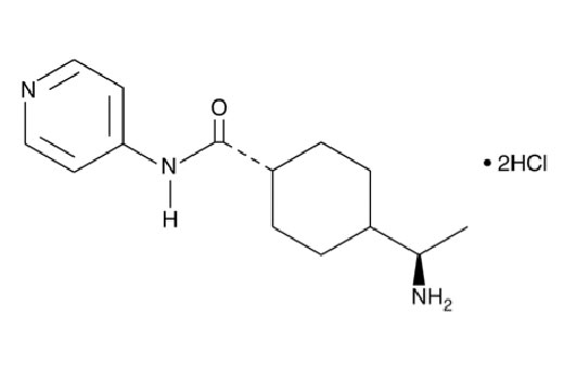 Y-27632 - 1 mg