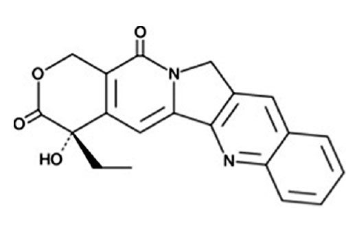 Camptothecin - 10 mg