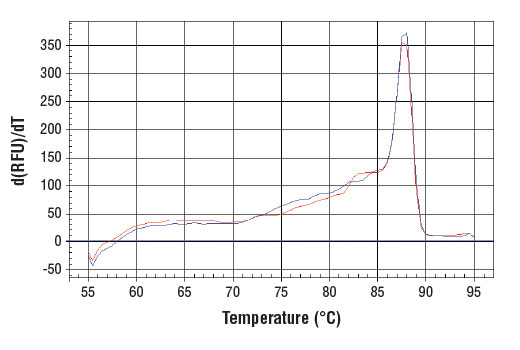 SimpleChIP® Human β-Actin Promoter Primers - 500 ul