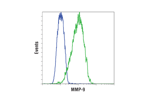 Matrix Remodeling Antibody Sampler Kit - 1 Kit