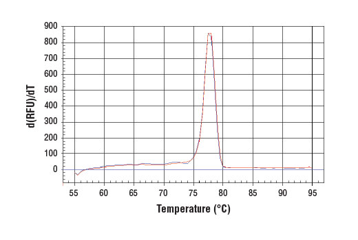 SimpleChIP® Human β-Actin 3' UTR Primers - 500 ul