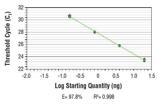 SimpleChIP® Mouse OGDH Intron 1 Primers - 500 ul