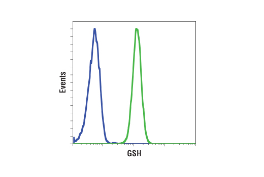 Cellular Glutathione Detection Assay Kit - 1 Kit