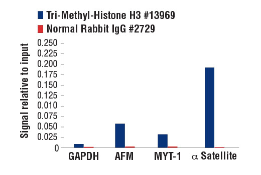 Methyl-Histone H3 (Lys9) Antibody Sampler Kit - 1 Kit