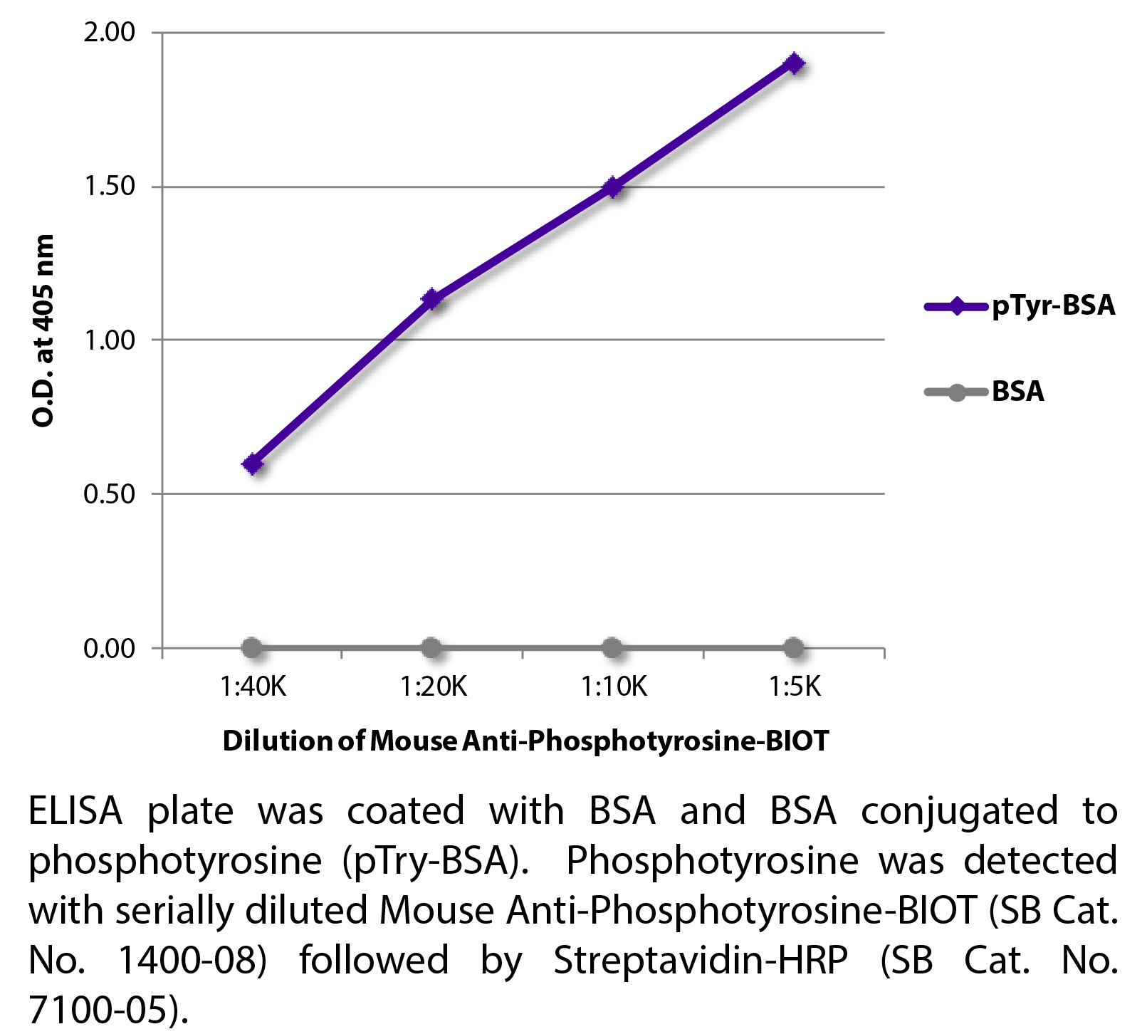 Mouse Anti-Phosphotyrosine-BIOT - 0.5 mg