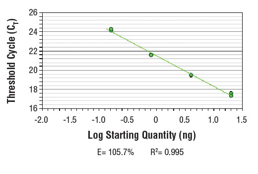 SimpleChIP® Human HSP70 Intron 1 Primers - 500 ul