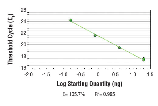 SimpleChIP® Human RNU2-1 Promoter Primers - 500 ul