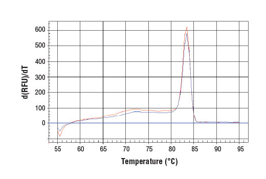 SimpleChIP® Human CD11b Promoter Primers - 500 ul