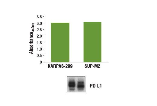 PathScan® Total PD-L1 Sandwich ELISA Kit - 1 Kit