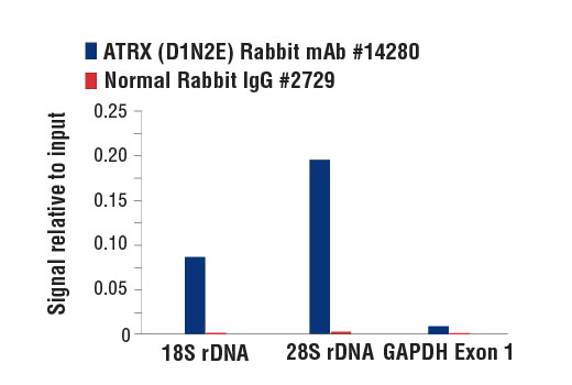 ATRX/Daxx Antibody Sampler Kit - 1 Kit