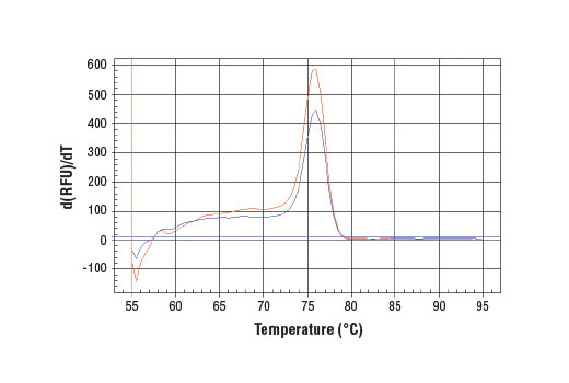 SimpleChIP® Human c-Myc Intron 1 Primers - 500 ul