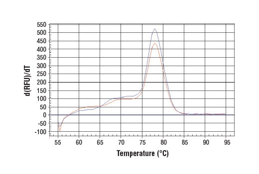 SimpleChIP® Human HoxA9 Promoter Primers - 500 ul