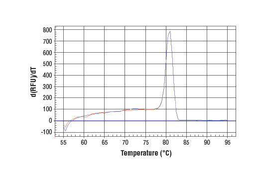 SimpleChIP® Human CTGF Promoter Primers - 500 ul