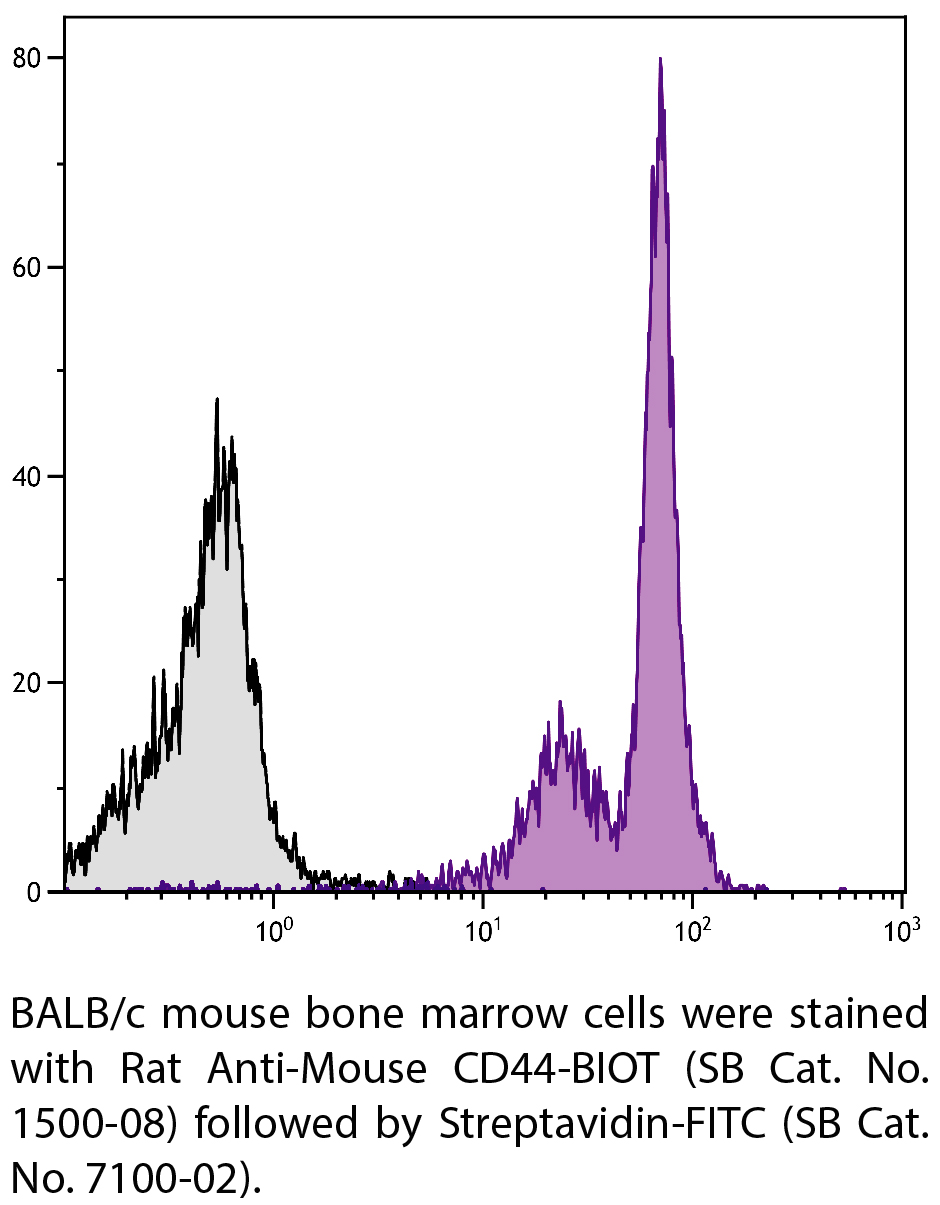 Rat Anti-Mouse CD44-BIOT - 0.5 mg