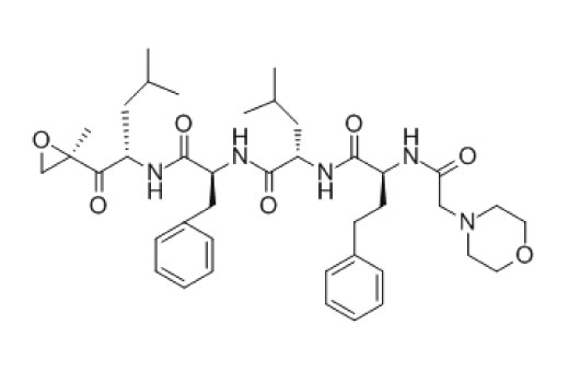 Carfilzomib - 1 mg