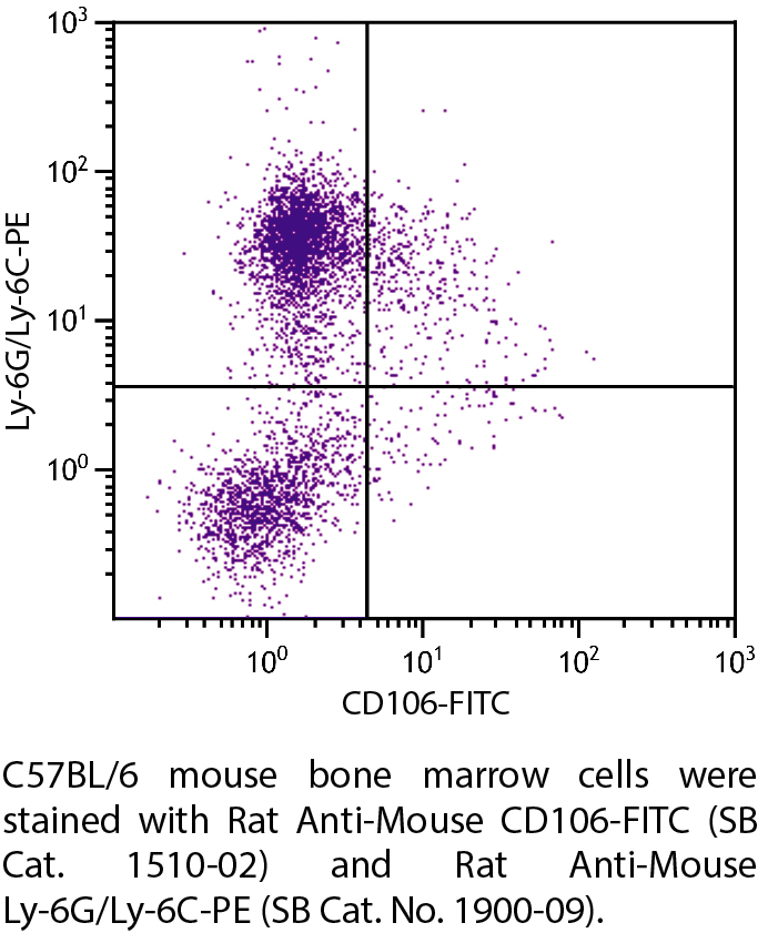 Rat Anti-Mouse CD106-FITC - 0.5 mg