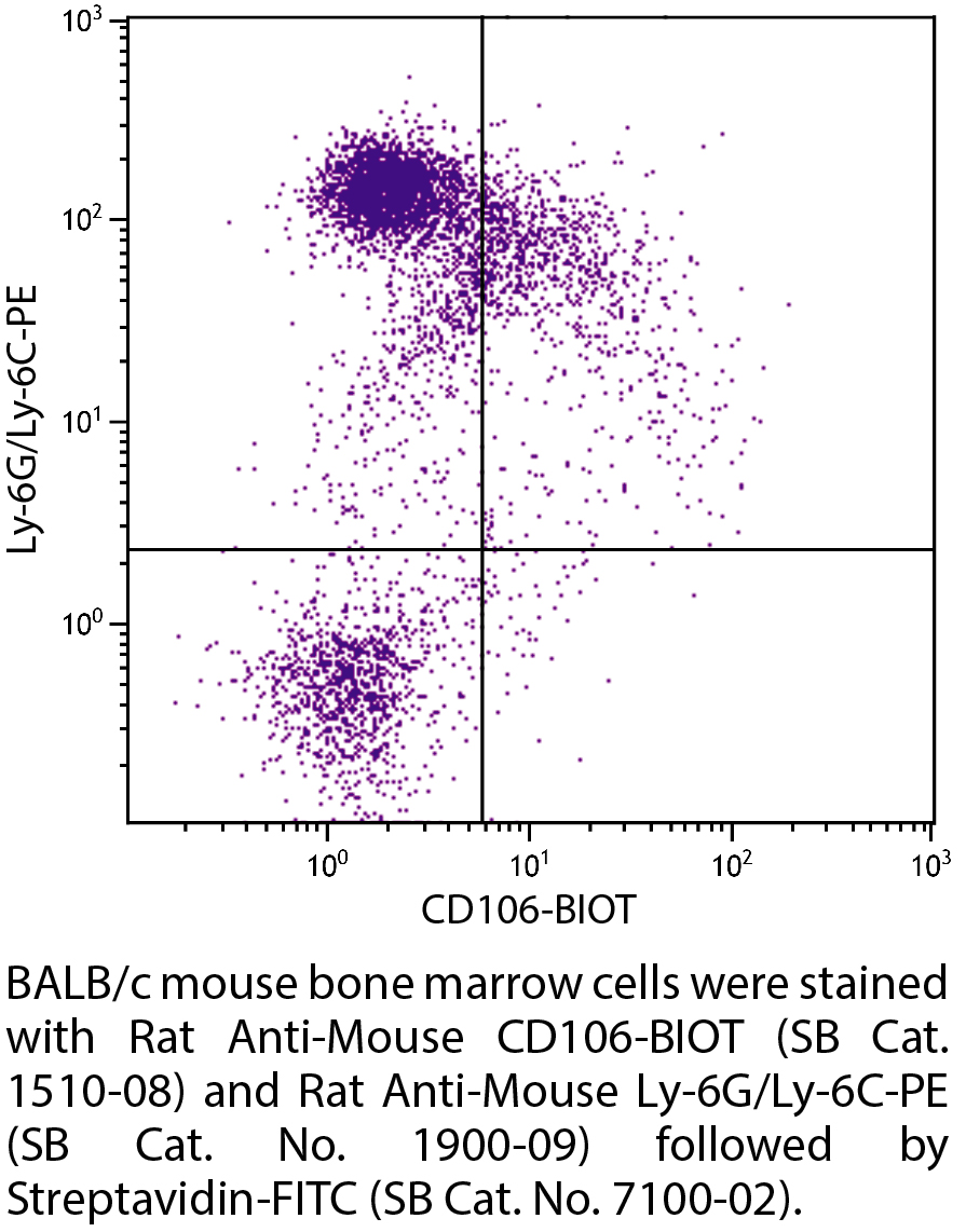 Rat Anti-Mouse CD106-BIOT - 0.5 mg