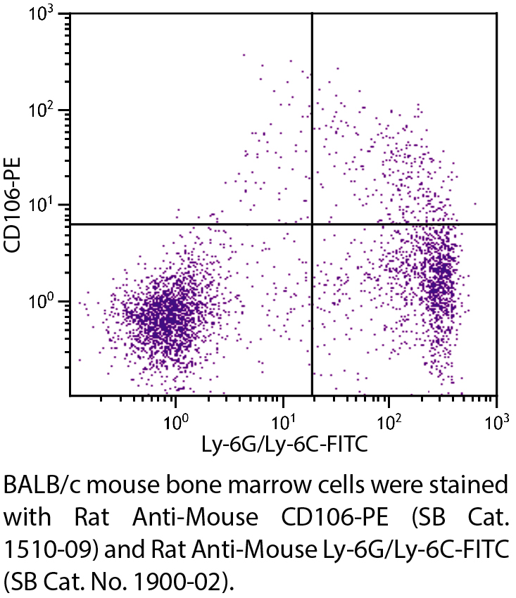 Rat Anti-Mouse CD106-PE - 0.1 mg