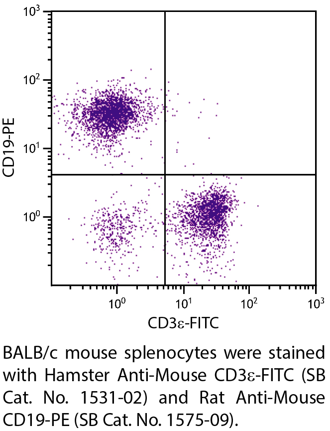 Hamster Anti-Mouse CD3ε-FITC - 0.5 mg