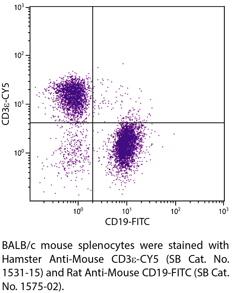 Hamster Anti-Mouse CD3ε-CY5 - 0.1 mg
