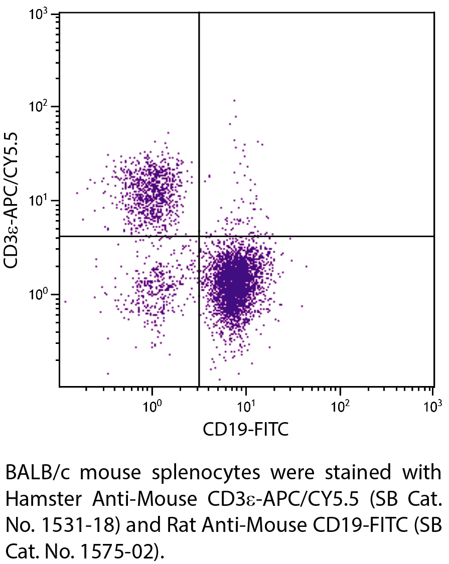 Hamster Anti-Mouse CD3ε-APC/CY5.5 - 0.1 mg