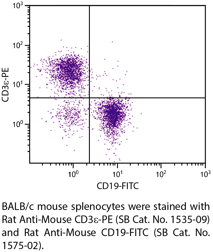 Rat Anti-Mouse CD3ε-PE - 0.1 mg