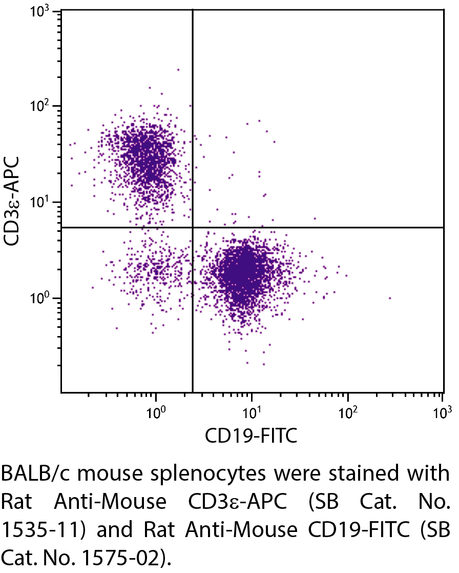 Rat Anti-Mouse CD3ε-APC - 0.1 mg