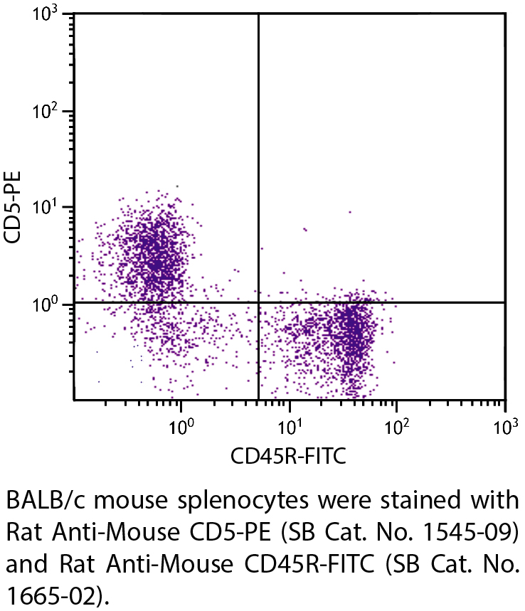 Rat Anti-Mouse CD5-PE - 0.1 mg