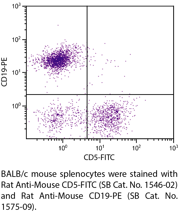 Rat Anti-Mouse CD5-FITC - 0.5 mg