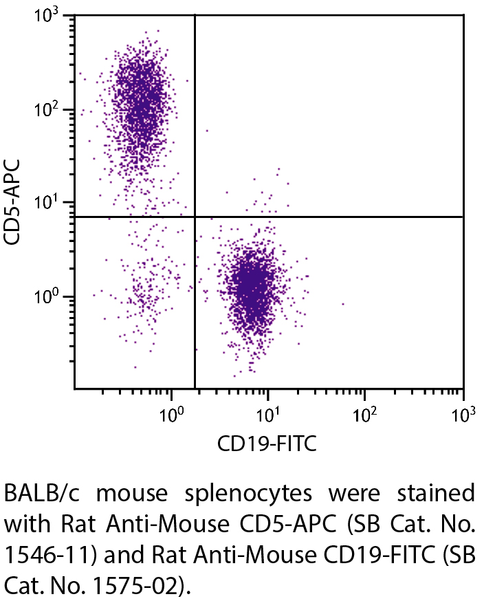 Rat Anti-Mouse CD5-APC - 0.1 mg