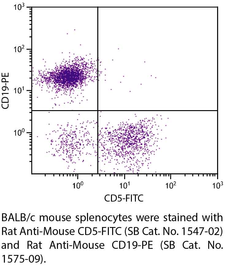 Rat Anti-Mouse CD5-FITC - 0.5 mg