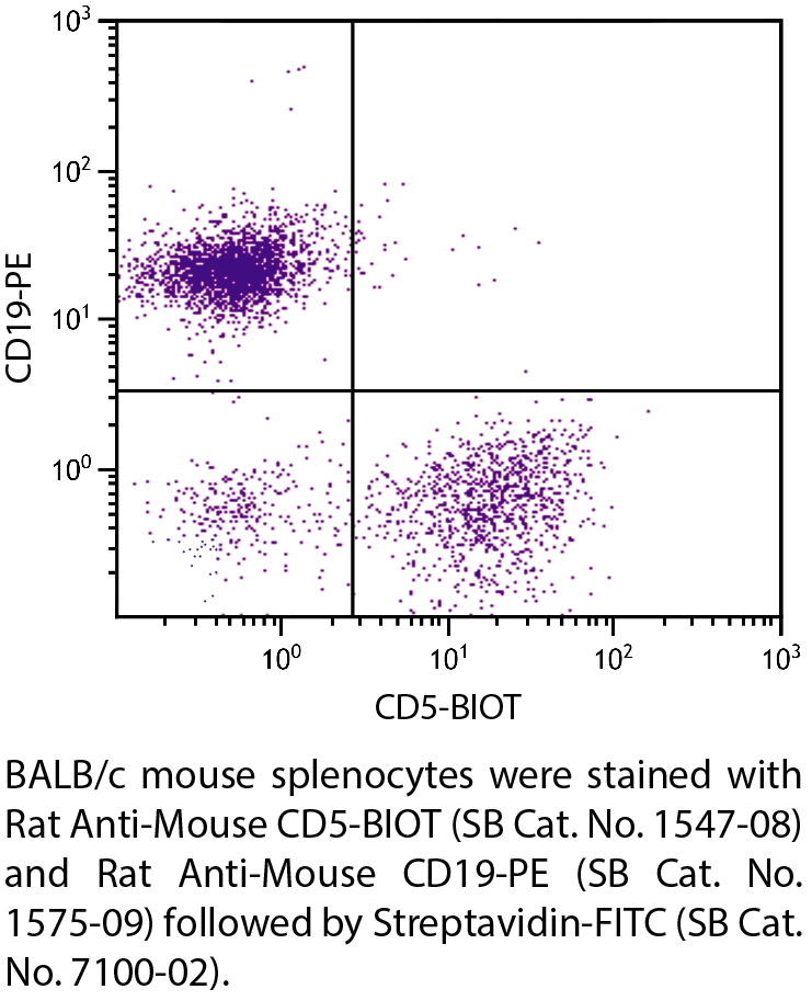 Rat Anti-Mouse CD5-BIOT - 0.5 mg