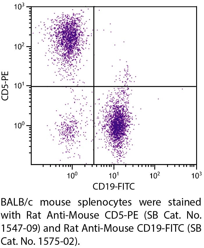 Rat Anti-Mouse CD5-PE - 0.1 mg