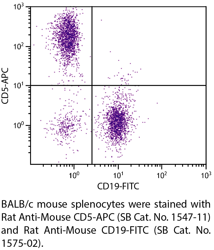 Rat Anti-Mouse CD5-APC - 0.1 mg