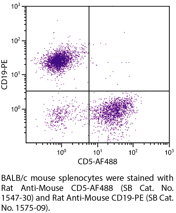 Rat Anti-Mouse CD5-AF488 - 0.1 mg