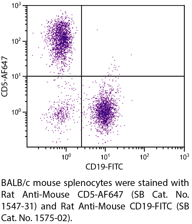 Rat Anti-Mouse CD5-AF647 - 0.1 mg