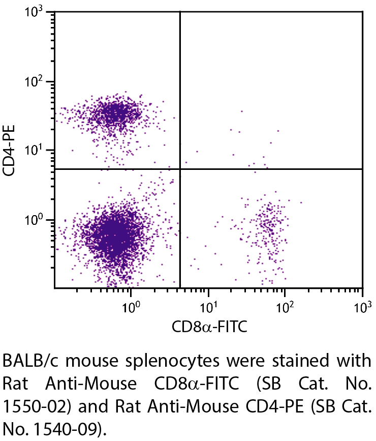 Rat Anti-Mouse CD8α-FITC - 0.5 mg