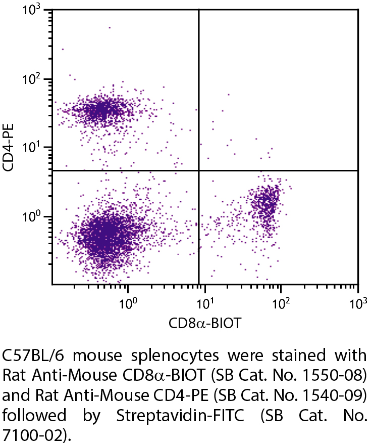 Rat Anti-Mouse CD8α-BIOT - 0.5 mg