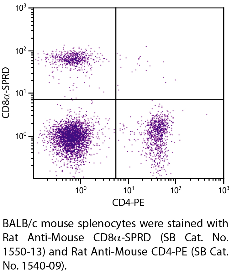 Rat Anti-Mouse CD8α-SPRD - 0.1 mg