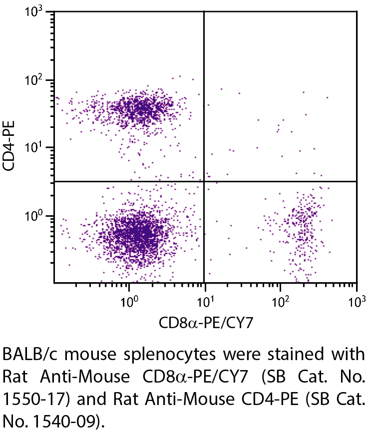 Rat Anti-Mouse CD8α-PE/CY7 - 0.1 mg