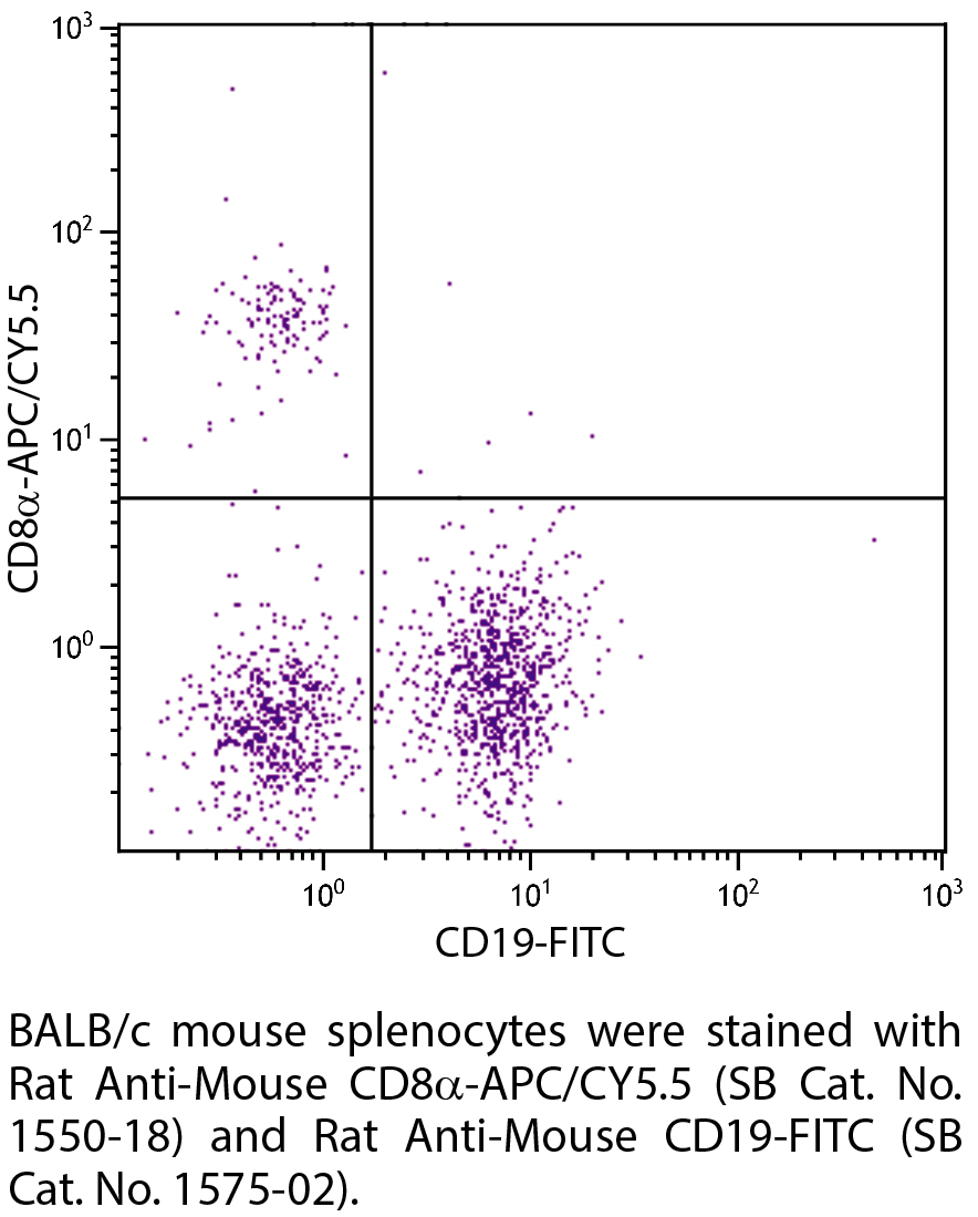 Rat Anti-Mouse CD8α-APC/CY5.5 - 0.1 mg