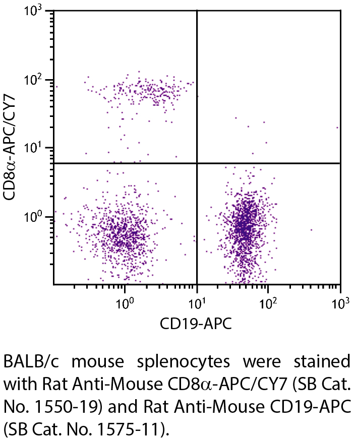 Rat Anti-Mouse CD8α-APC/CY7 - 0.1 mg