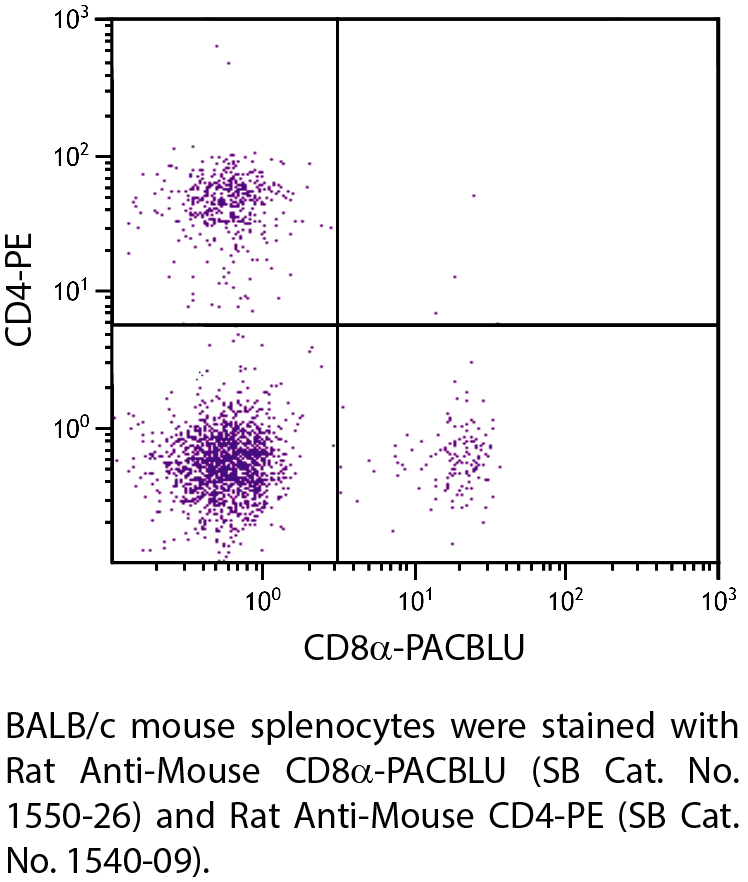 Rat Anti-Mouse CD8α-PACBLU - 0.1 mg